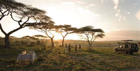 Tanzania Safari Animals- When is the best time to visit Tanzania