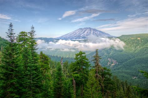 Wallpaper Trees Landscape Forest Mountains Hill Lake Nature