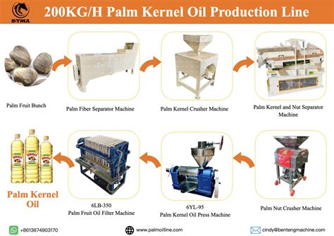 maximize  oil yield  kgh palm kernel oil extraction