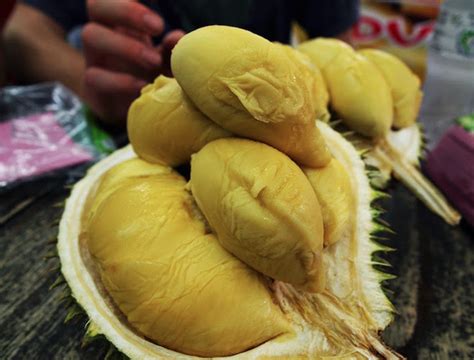 sesiapa hantu durian kat  inilah  tempat terbaik  makan