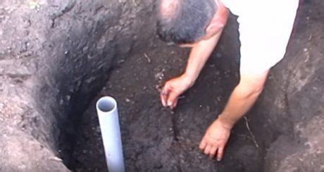 Посадка винограда весной – инструкция для новичка | Виноград, Овощные ...