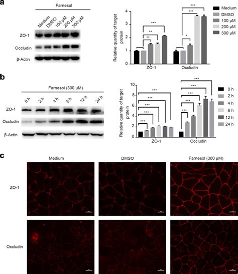 Farnesol Increased The Expression Of Tight Junctional Proteins In