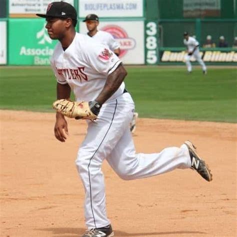 David Denson Is First Openly Gay Player On Major League Baseball Affiliated Team Towleroad Gay