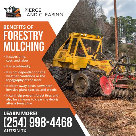 Pierce Land Clearing Media Room Articles