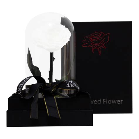 white infinity rose single - CityRose Flowers