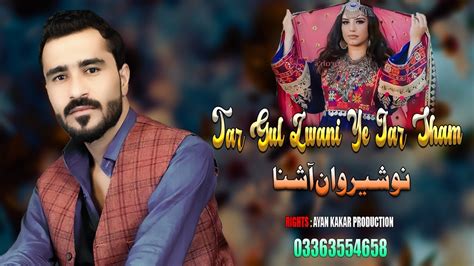 New Pashto پشتو Songs 2023 Nosherwan Ashna Tar Gul Zwani Ye Jar