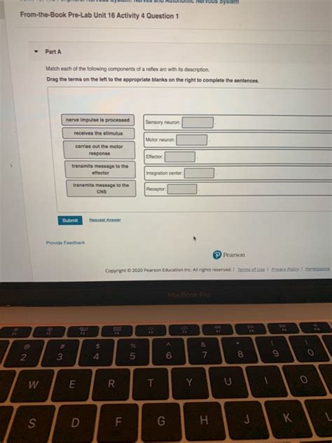 Solved Nervous System From The Book Pre Lab Unit 16 Activity Chegg