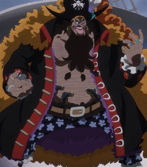 Todas As Raças De One Piece - 5