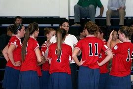 Volleyballfans Volleyball Kostenloses Foto Auf Pixabay