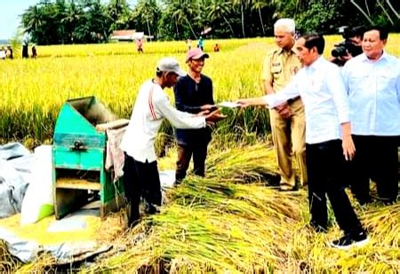 Presiden Jokowi Panen Raya Padi Di Kecamatan Ambal Kabupaten Kebumen