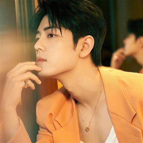 Pin By Laraine Palmer On Xiao Zhan Beautiful Love Stories Hot Male Models Cute Guys