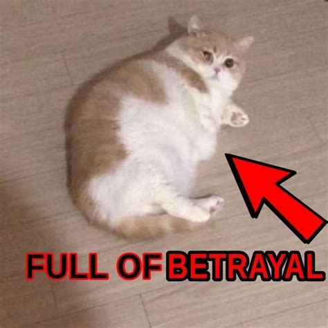 I Draw Sometimes A Lesbian Amity To Go With My Bi Luz Piece