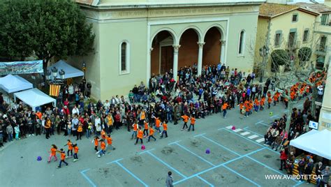 Avibotet Cat APLEC DE VILASSAR DE DALT