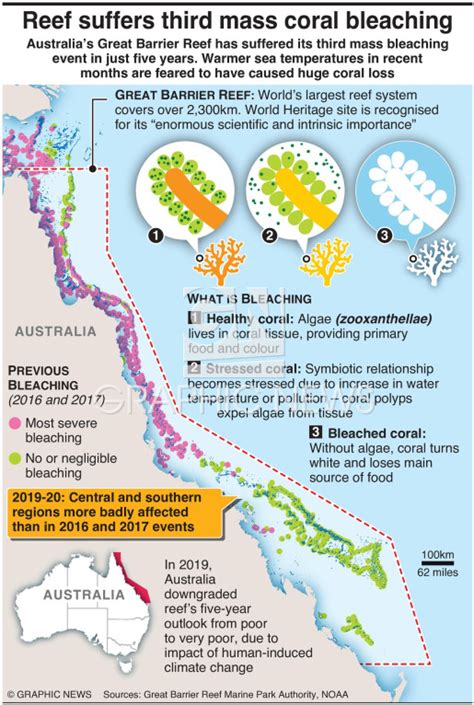 ENVIRONMENT: Great Barrier Reef mass bleaching infographic