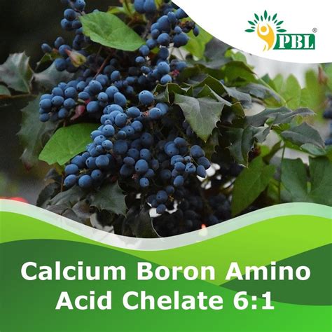 Calcium Boron Amino Acid Chelate 6 1 Manufacturer Exporter Peptech