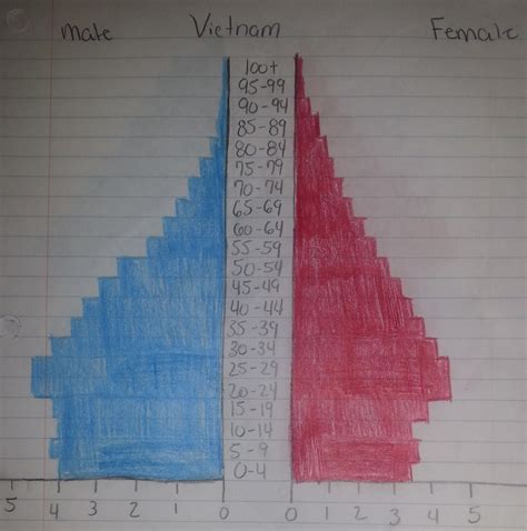 Population Pyramids - Population Geography