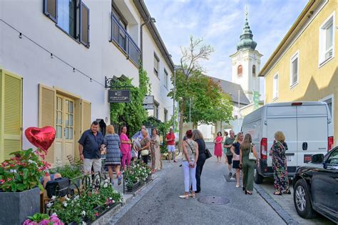 Der Graf Im Stadthaus Burgenl Nderin