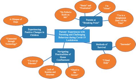 Thematic Map Illustrating Themes and Sub-themes | Download Scientific ...