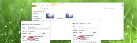 Conceal Any Data With Openstego June 6 2025