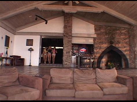 Wildlife Pussy Playhouse Scene Xvideos