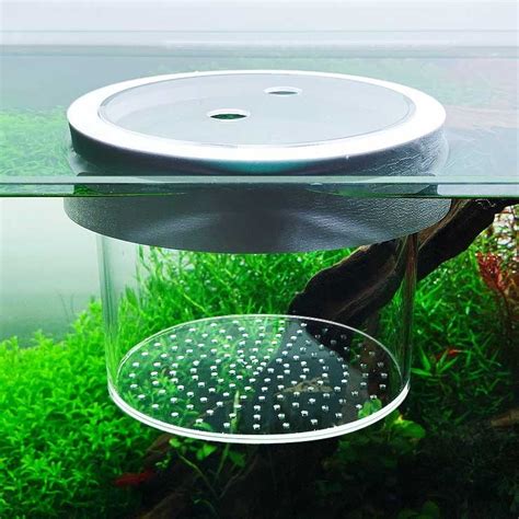 Floating Isolation Box Acrylic Round Baby Fish Aquarium Accessories