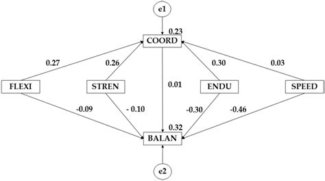 Effects Of Variables For The Male Sex Before Implementing The