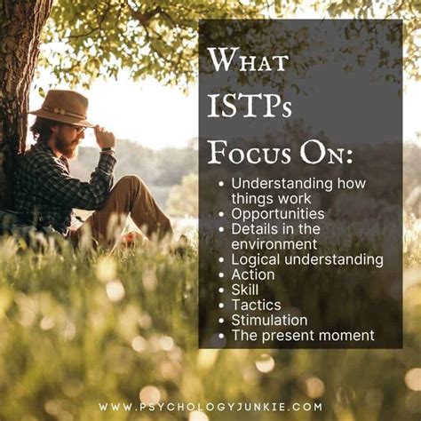 Intp Vs Istp Personality Types What Are The Differences Artofit