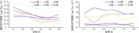 Distribution Of Nitrification And Denitrification Intensity In The