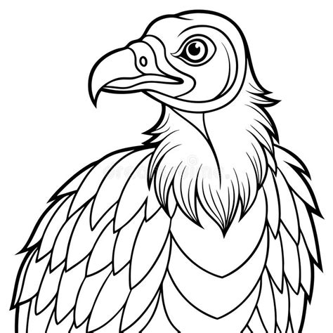 Vulture Line Art Design For Coloring Books Vulture Line Art Vulture