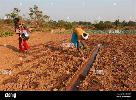 Sowing Seeds