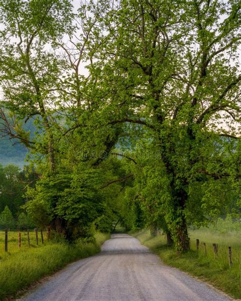 Cades Cove Great Smoky Mountains National Park Scenic Landscape Spring