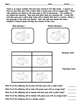 Sex Linked Traits By Mr Sarra S Biology And 2nd Grade Math Activities