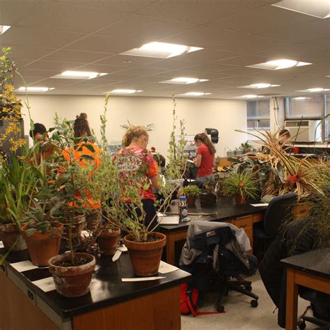 Botany Class In at Cody Phipps blog