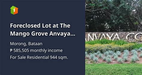 Foreclosed Lot At The Mango Grove Anvaya Cove Bataan Lots 🚜 April