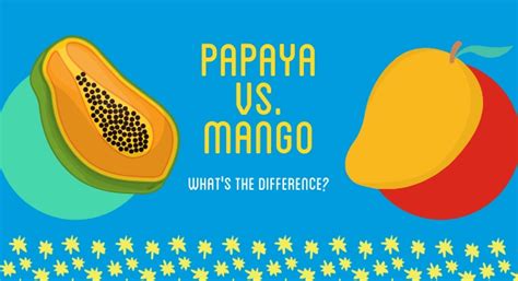 Papaya vs Mango – What’s the Difference? | Mango.org