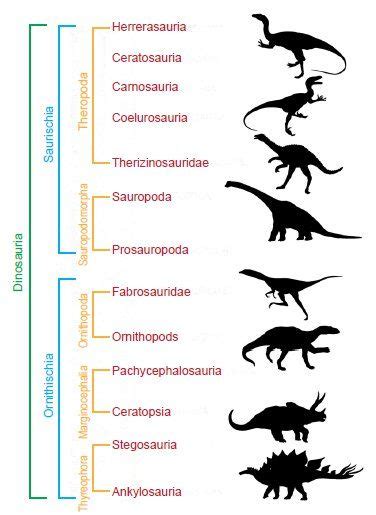 Classification of Dinosaurs Pdf - GianniaresBush