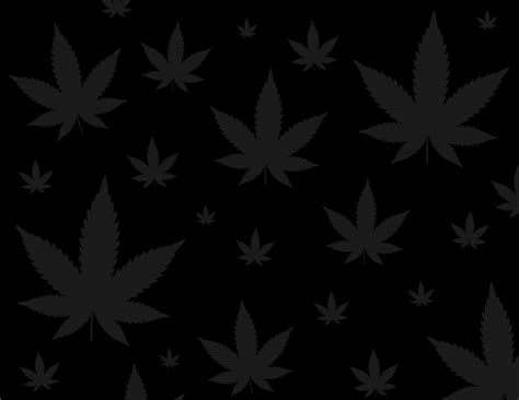 Black Runtz Strain: A Complete Guide — Project Releaf