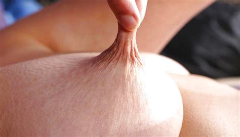 Stretched And Pulled Nipples Porn Pictures XXX Photos Sex Images PICTOA