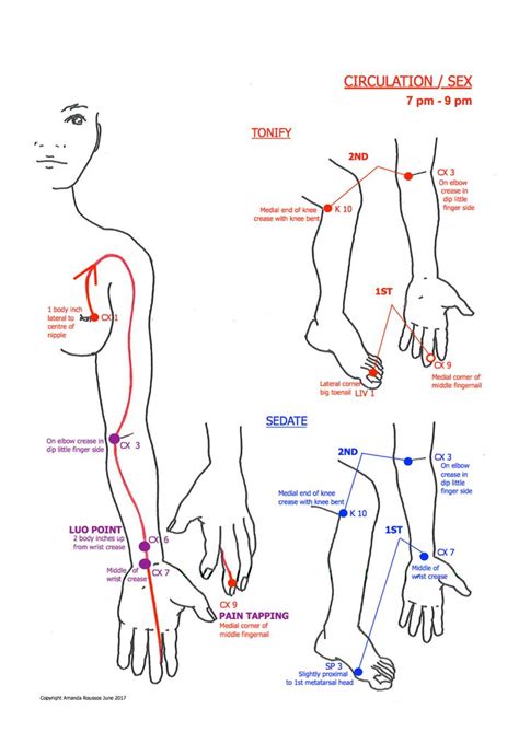 Meridian Charts Helena Arguelles Acupuncture Charts Emotion Chart