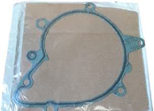 Amazon Land Rover Water Pump Gasket PET000050 Range Rover 03 05 4