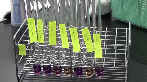 食品学実験Ⅱで褐変と抗酸化力測定実験を実施 - 摂南大学 農学部【食品栄養学科】公式