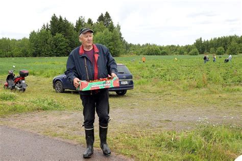 Yläosa 27 imagen vilkki mansikka kotka abzlocal fi