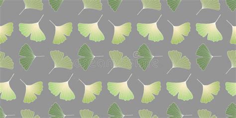 Vector Botanical Seamless Pattern With Green Ginkgo Biloba Leaves