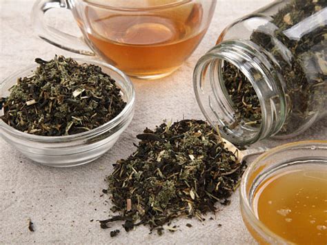 Иван-чай с таволгой, лабазником: полезные свойства и противопоказания ...