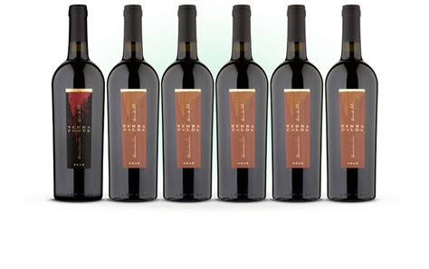 Dom Hentall S Terra Series 6 Pack Naked Wines