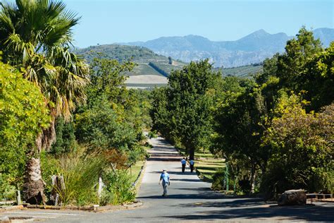 Lourensford Somerset West 2022 Absa Cape Epic Chapter 3