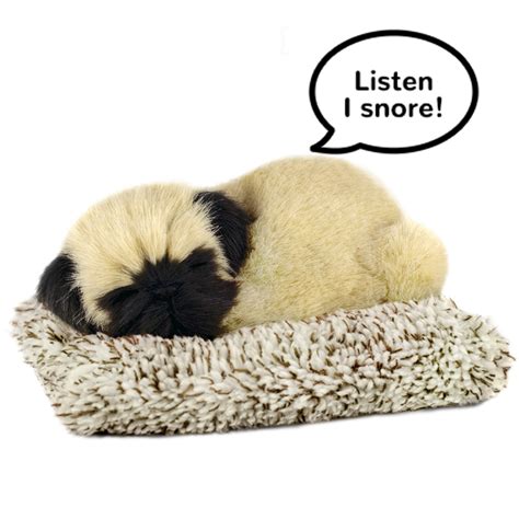 Products - Perfect Petzzz
