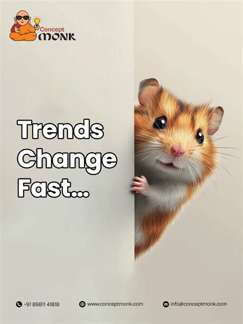 Guide explains what the fremont rebranding means for businesses 8