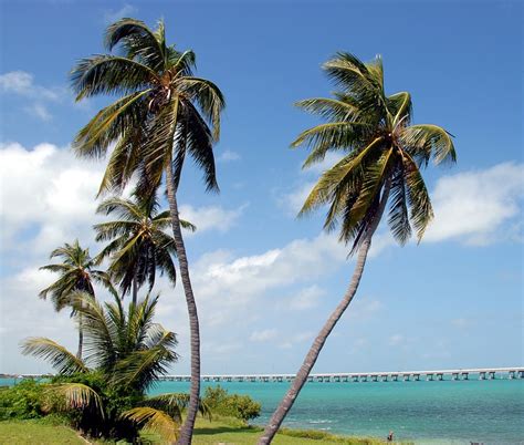 Bahia Honda State Park - Free photo on Pixabay