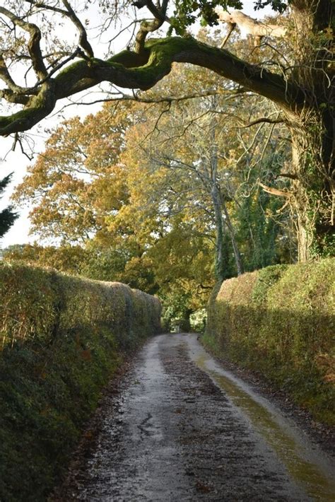 Late Sunlight In School Lane Newtown David Martin Cc By Sa 2 0